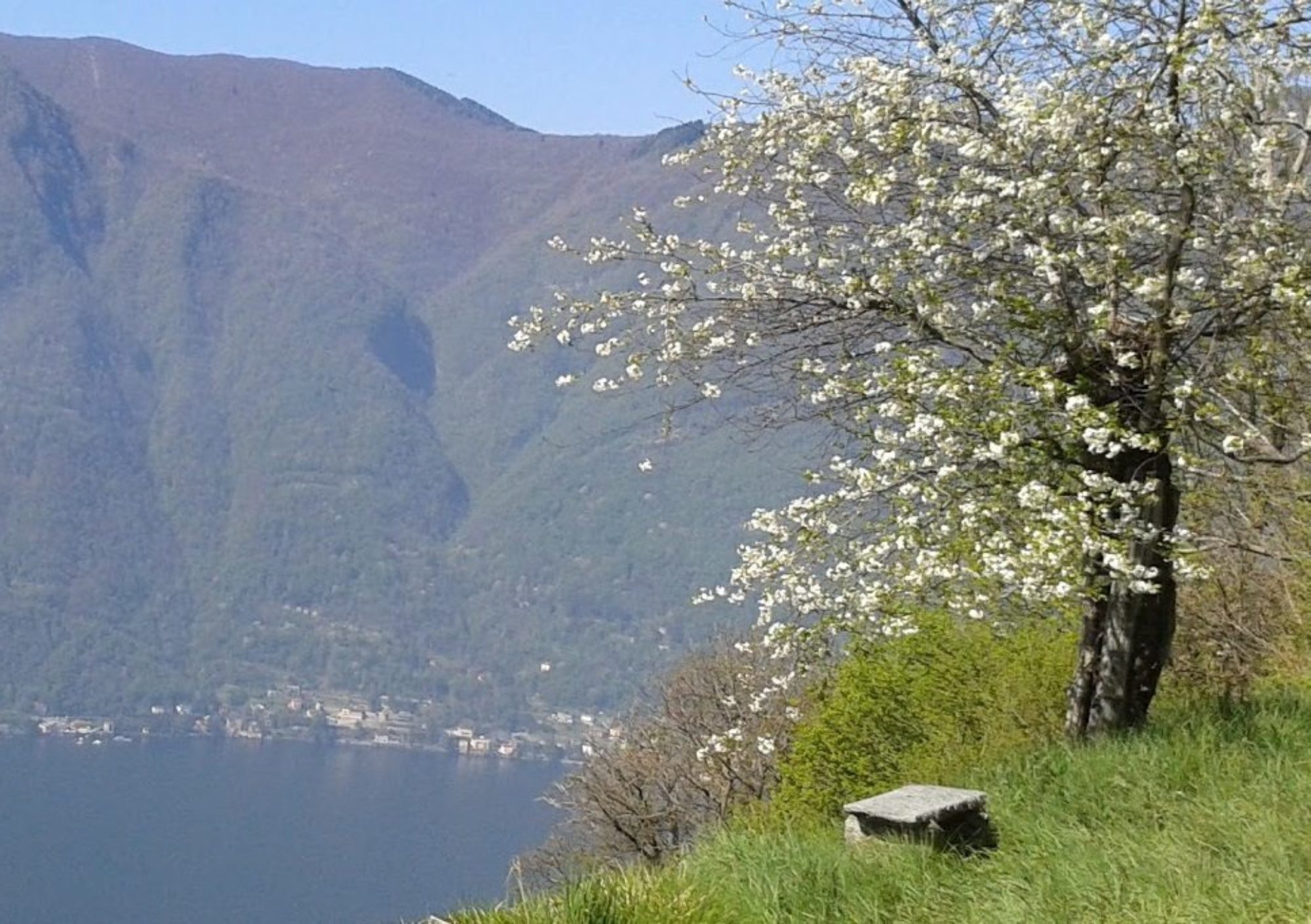 Cascina Teresina